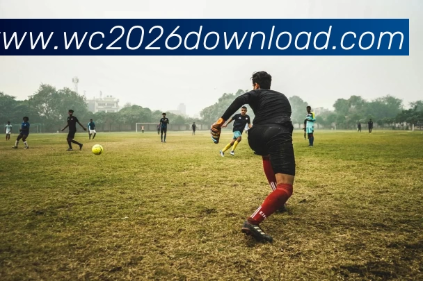 2026世界杯官方客户端下载平台生态图